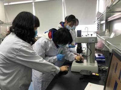 打造內(nèi)陸開放新高地 四川在‘一帶一路’中的高質量發(fā)展與科研創(chuàng)新
